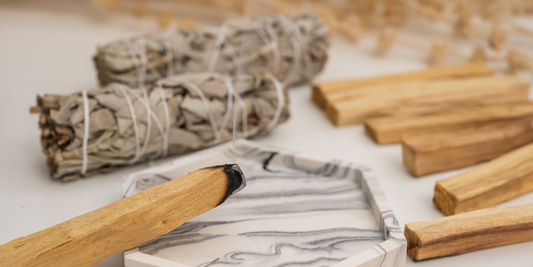 Beneficios del Palo Santo: Historia, Usos y Cómo Incorporarlo en tu Rutina Diaria